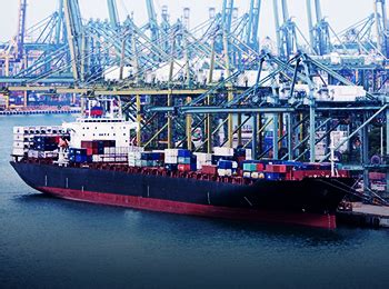 mms co ltd|mms company.